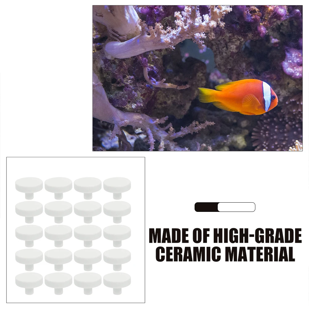 

30Pcs Coral Plugs Ceramic Bases T-Shaped Reef Coral Stand Aquarium Supplies Fish Tank Supplies Broken Limb Seat
