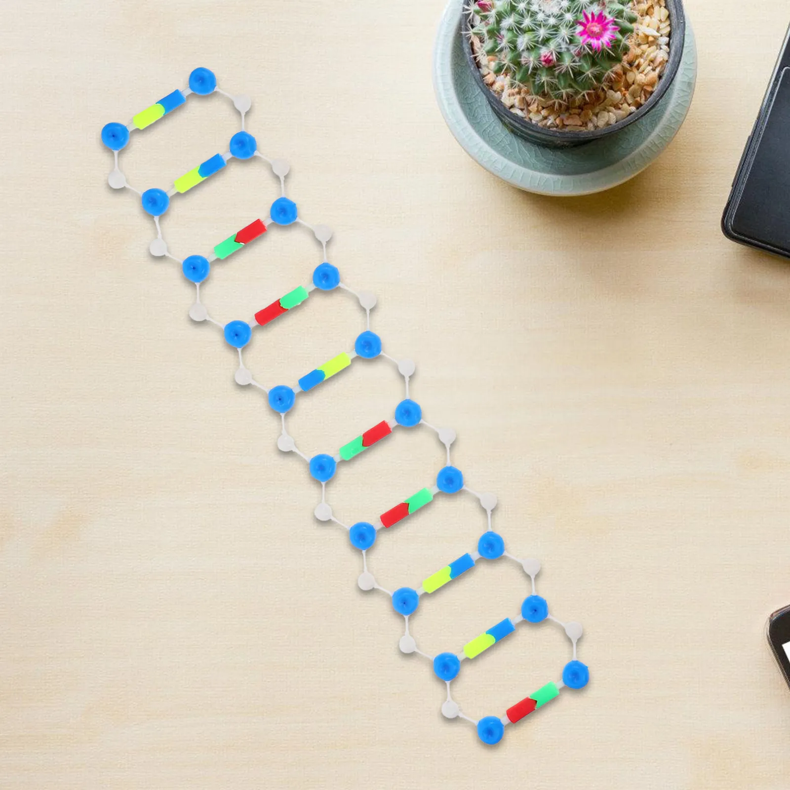 Classroom Dna Kit for Students Biology Design Upgrade Biochemistry Educational