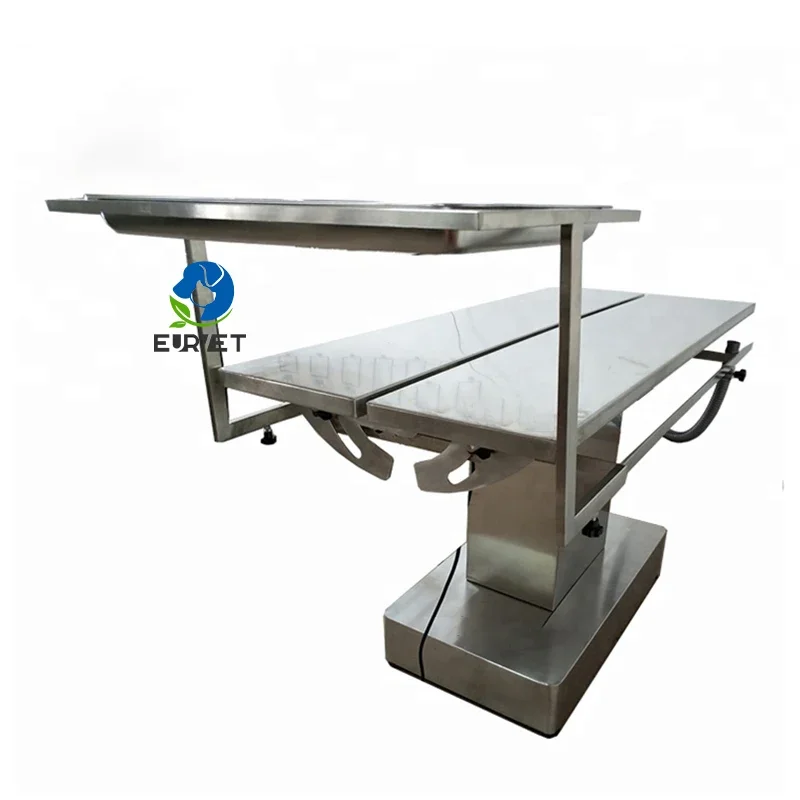 Practical Veterinary Clinic Surgical Treating Table Veterinary Instrument Stainless Steel Table Veterinary