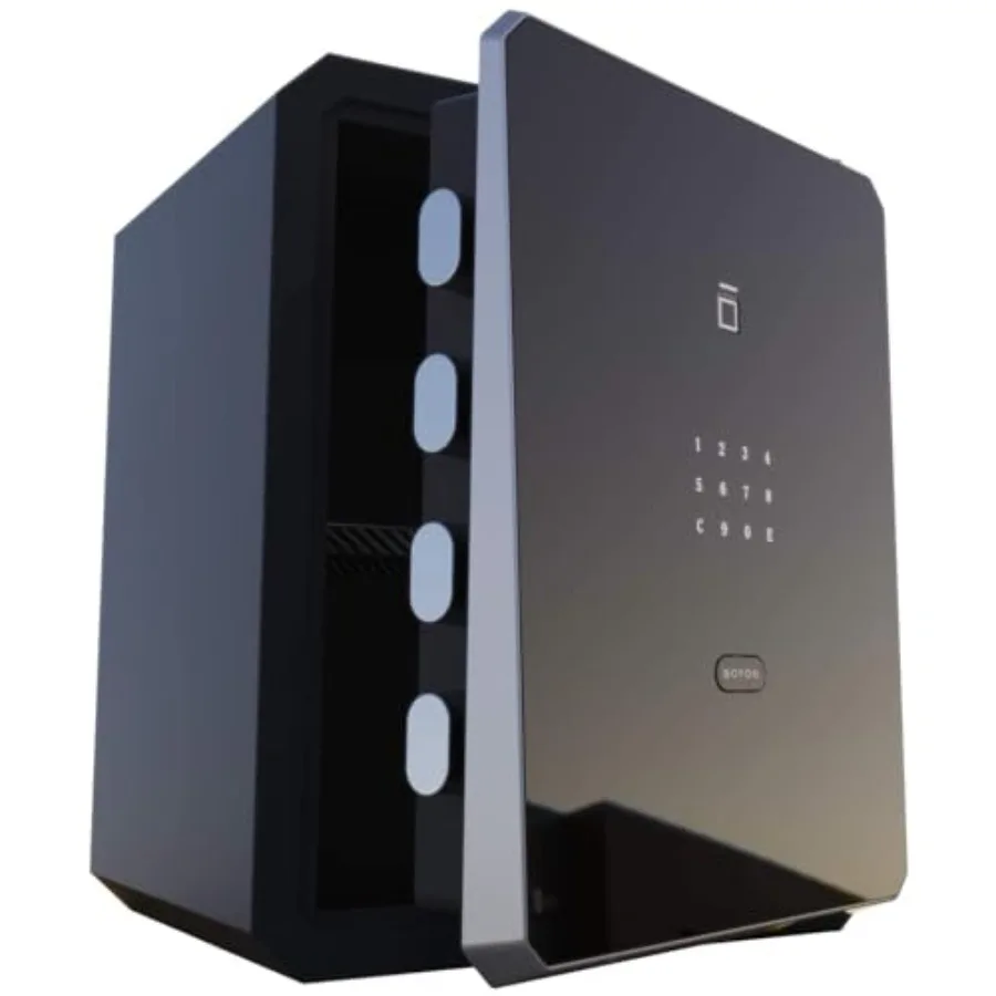 

Home use, steel biometric safe box with fingerprint and key, black, 2.1 cubic feet capacity for secure document and valuables s