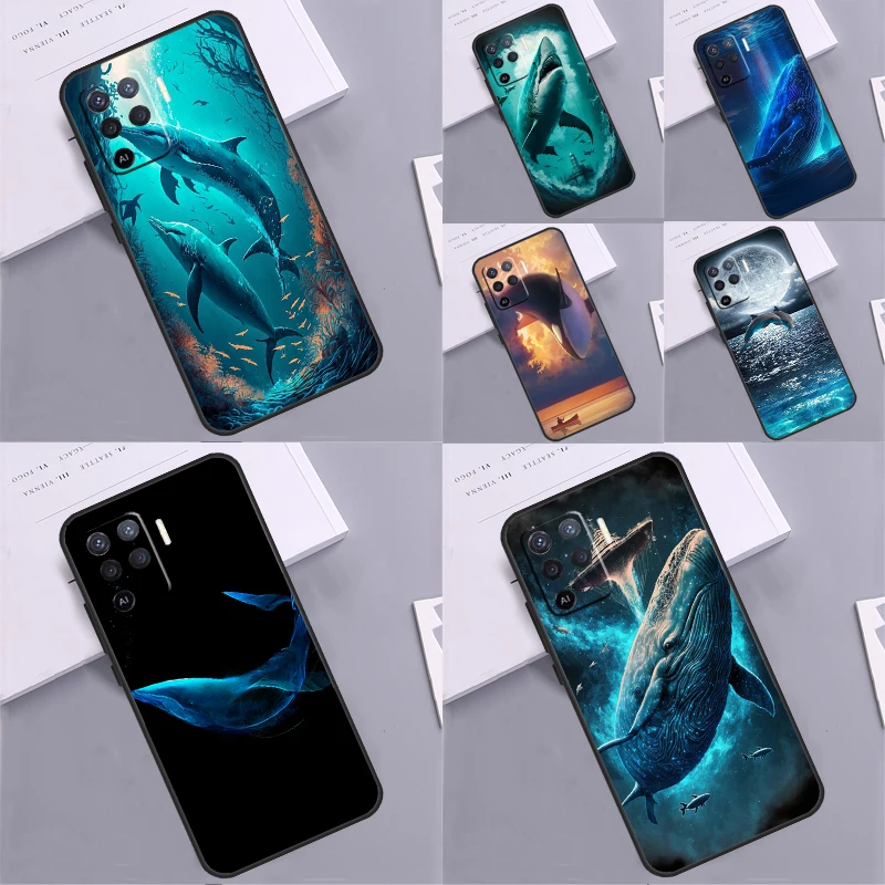 Whale Shark Dolphin… - image