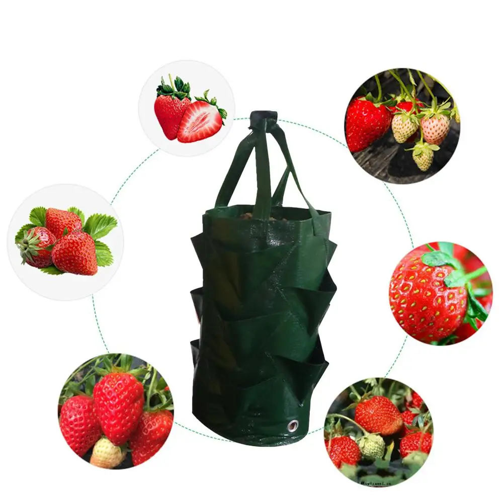 

Strawberry Grow Bags Hanging Wall Pockets Planter Multi Pockets Nursery Bag Plant Container Gardening Space
