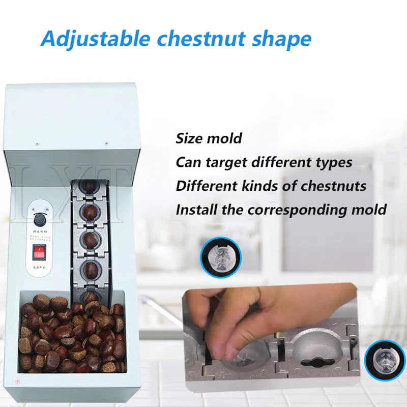 Chestnut Shell Opening Machine Hazelnut Slitting Machines Single Chain Link Nuts Cutting Cutter