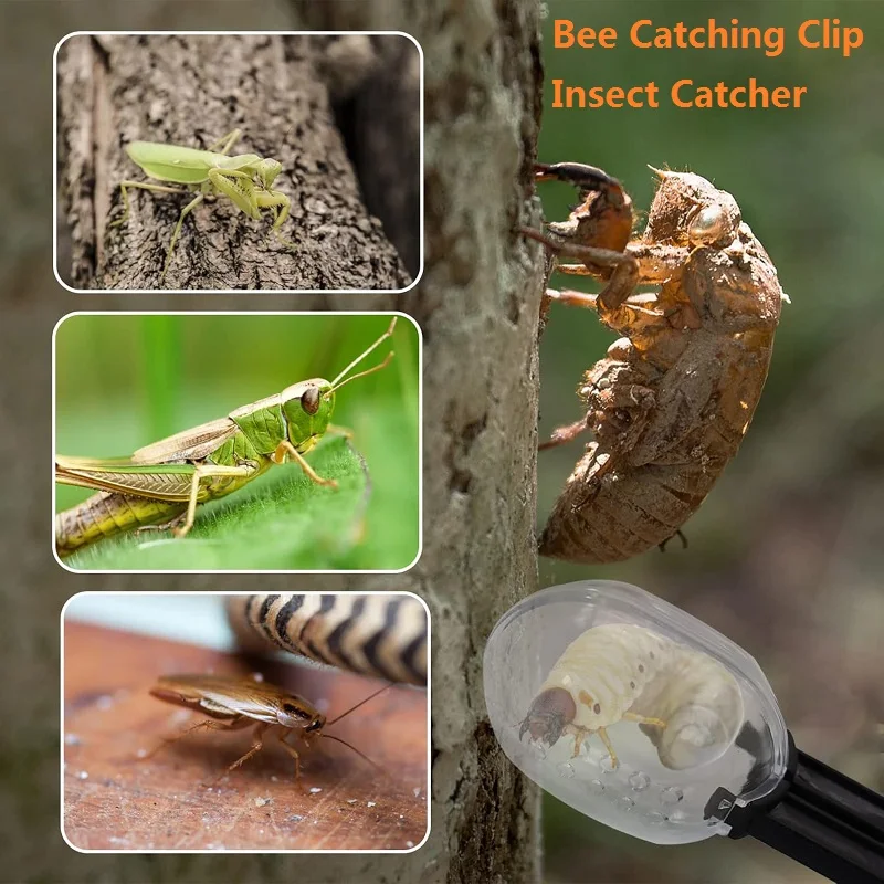 Bee Catching Clip Insect Catcher Queen Bee Cage Beekeeping Bee Queen Transfering Tool Queen Isolation Room Reptile Feeding Clip