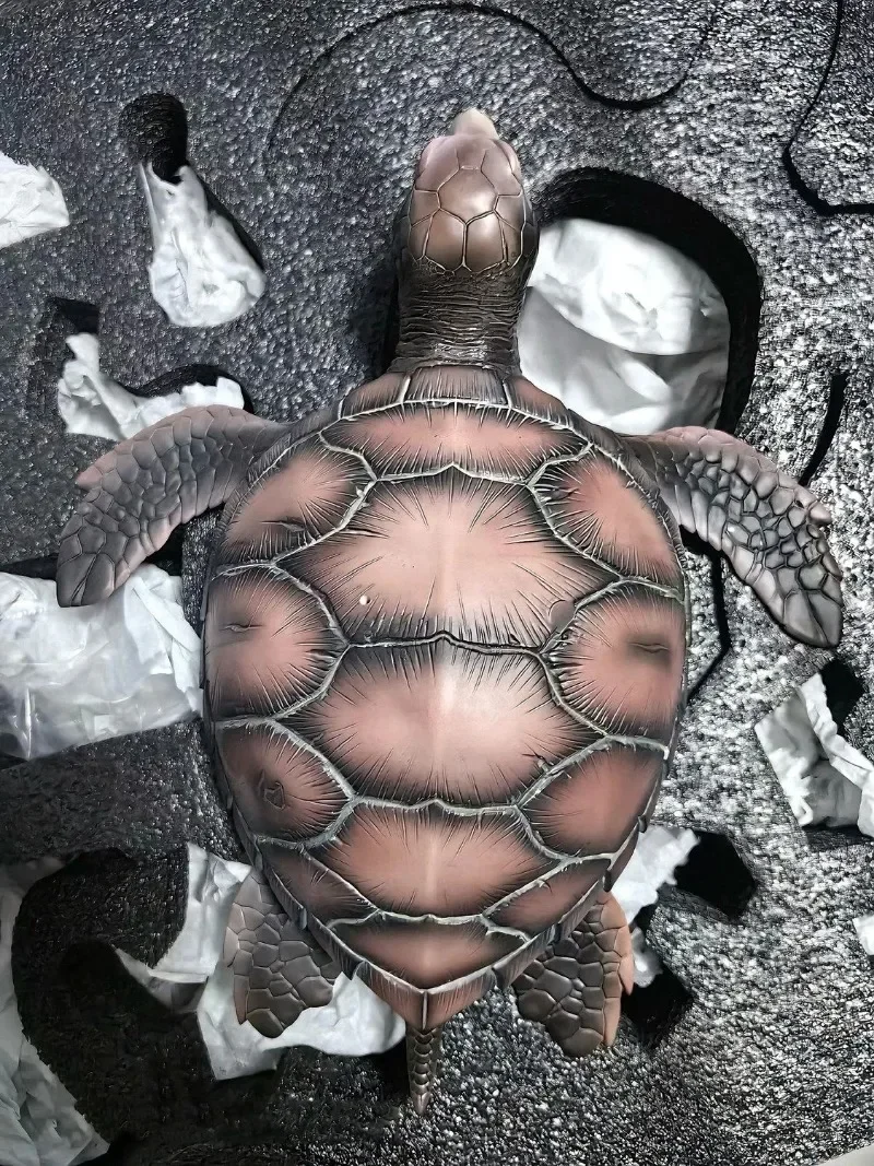 

In Stock Dragon Ball Figure Master Roshi Action Figure Kame Sennin Anime Figures Statue Model Doll Collection Toys Gifts