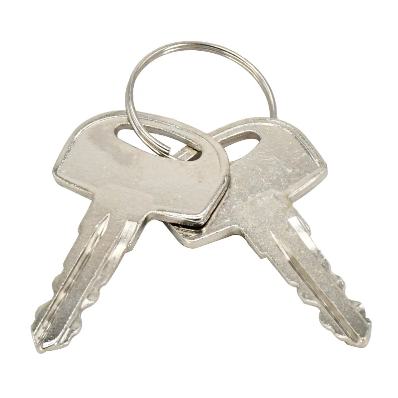 2 Pcs Ignition Keys 45501 105-1790 Compatible With Ditch Witch Models 410SX AT60 FX50 FX60 JT9 JT20 JT60 MR90 RT45 RT80