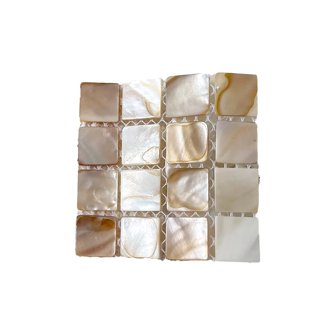 

ins Korean style natural shell square coaster pose photography props