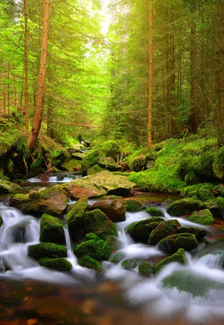 

4 пары Gemfan 1219S 31 мм 3-лопастной пропеллер для ПК 1 мм для Micro TinyWhoop FPV Racing Freestyle Tinywhoop Drones Mobula 6 65 мм рамка