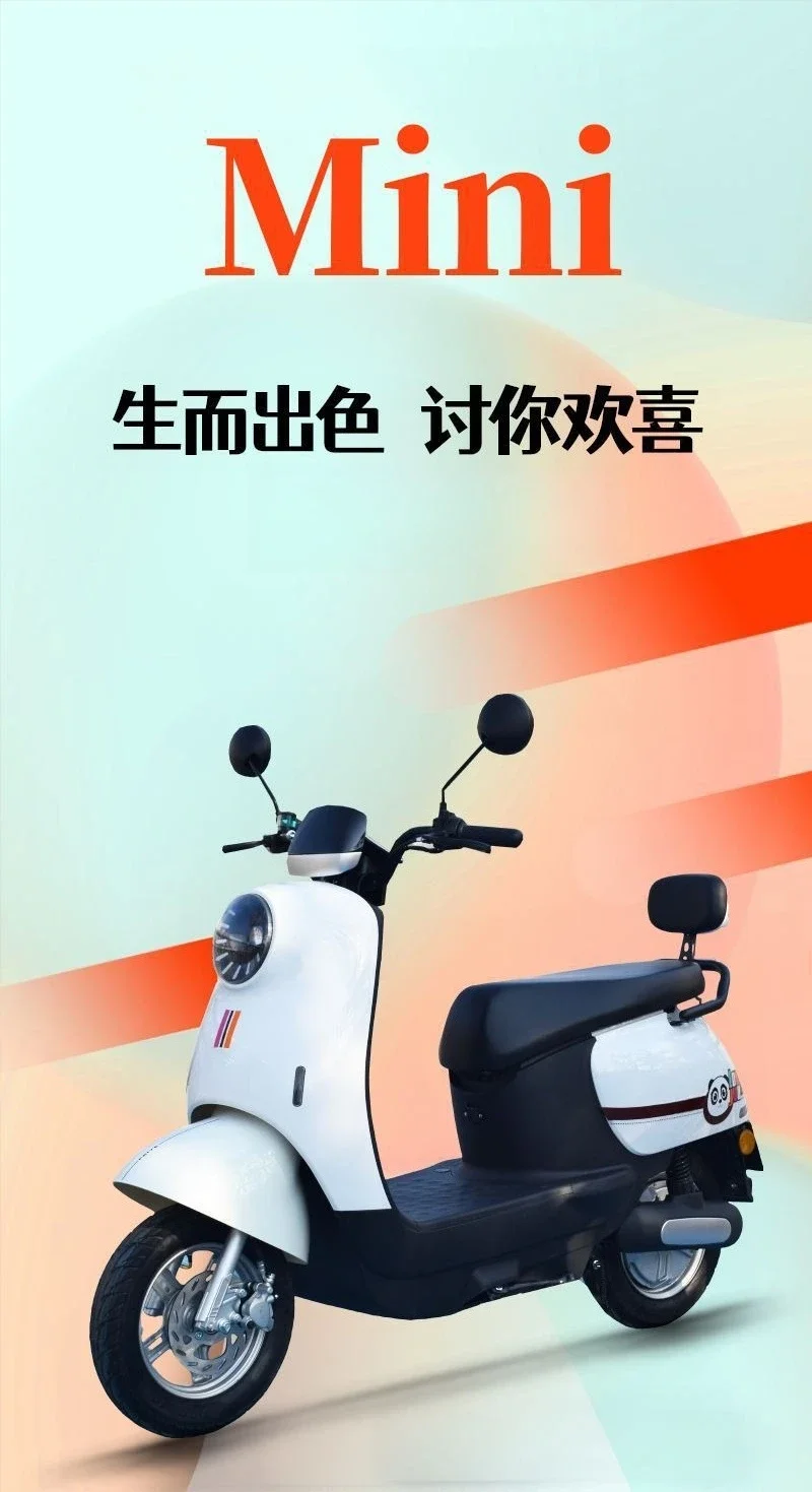 Adult commuter cars can carry people and cute and fashionable battery cars