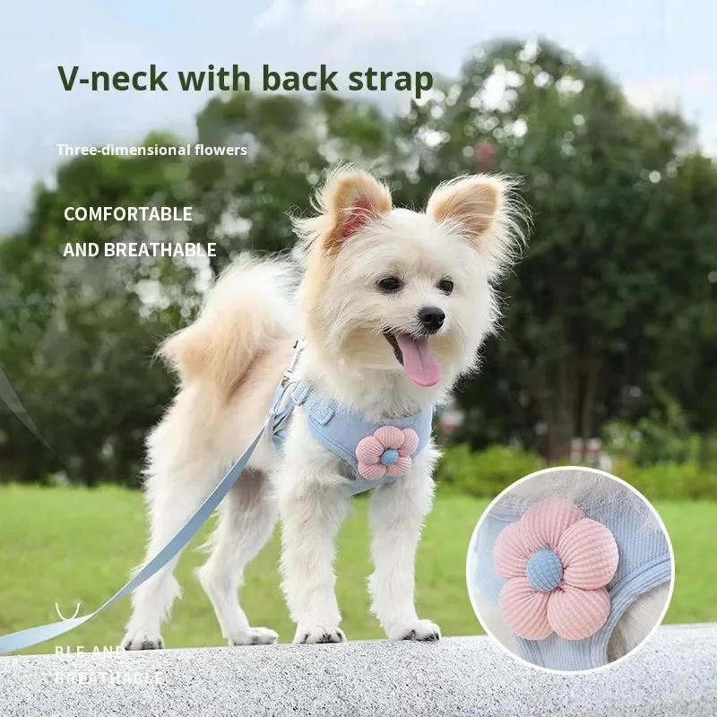 Small, medium and large cartoon dog vest, belt, anti-drop chest strap, pet cat outdoor walking, teddy dog accessories