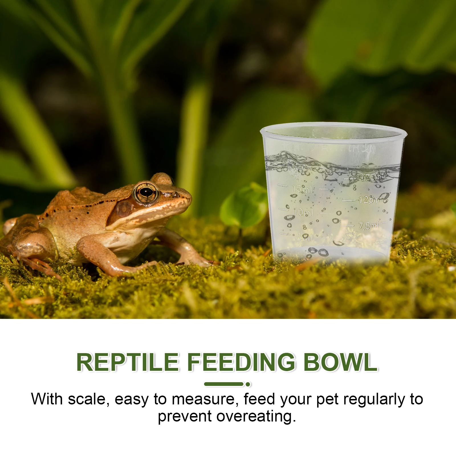 

20Pcs Measuring Cup Set 20ml Practical Size Reptile Feeding Dish Food Water Measuring Cup for Gecko Lizard Snake Turtle