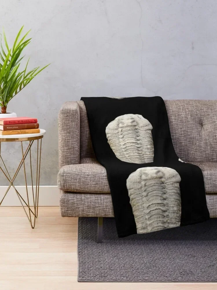 Trilobite- Fossil Throw Blanket For Sofa Thin christmas decoration Blankets