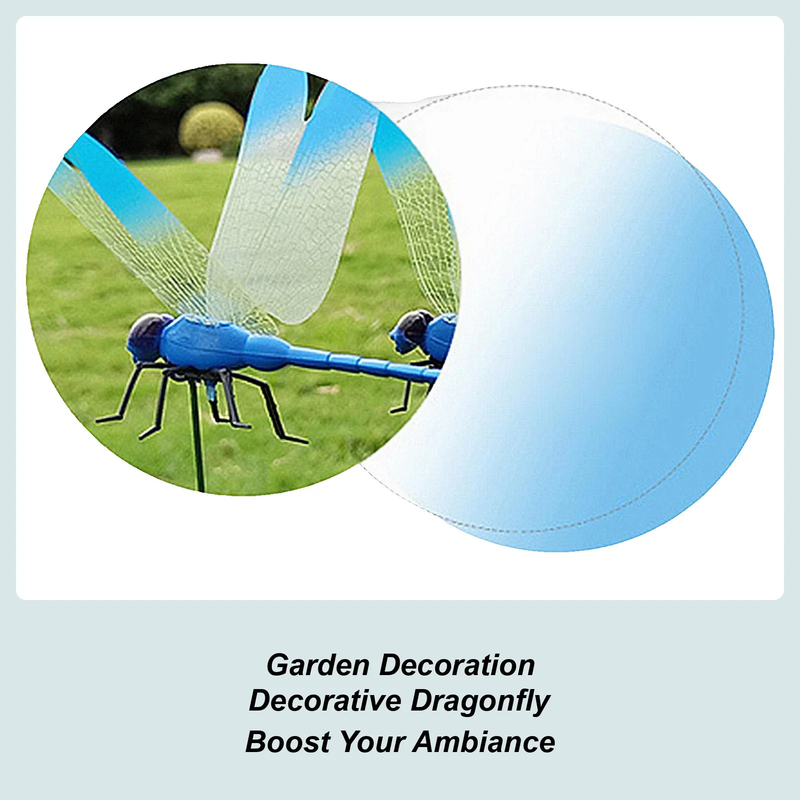 Simulation Dragonfl…