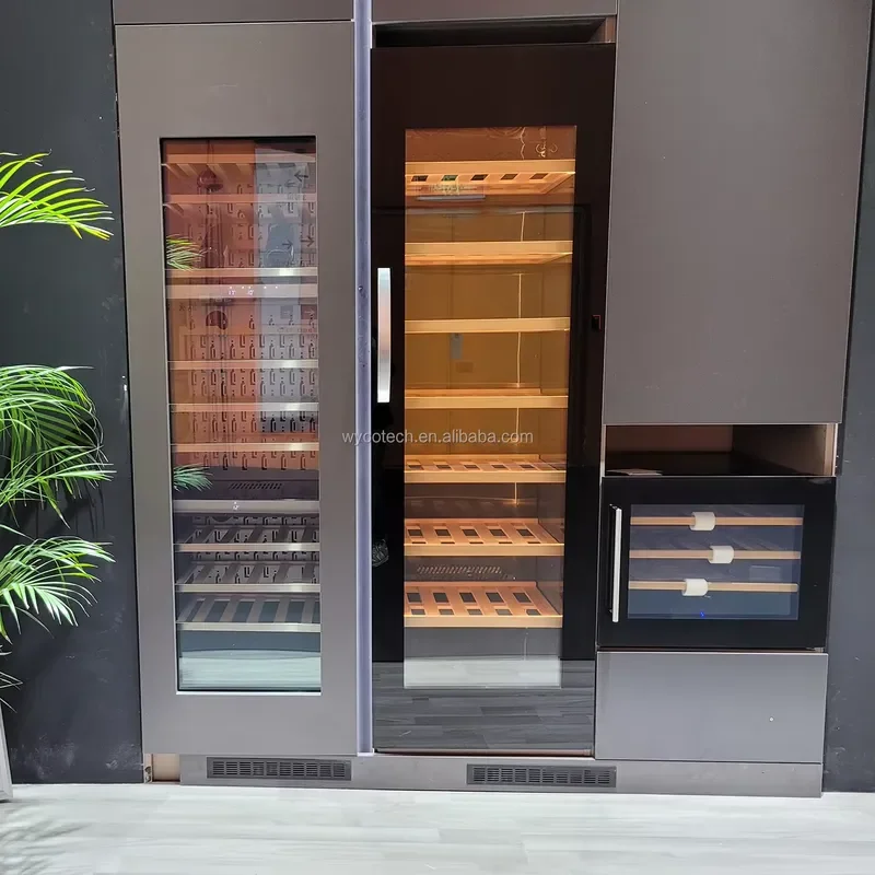 Modern Style Wine and Beverage Coolers Restaurant Wine Cabinet Wine Cellar Chiller with Compressor Built in Cooler