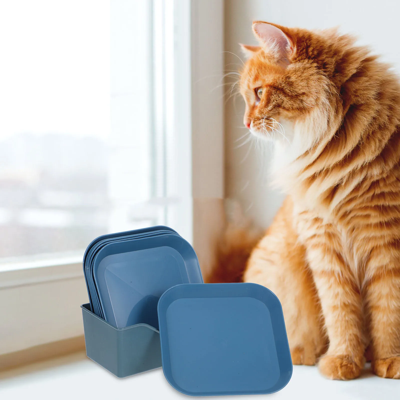 

1 set Cat Bowls PP Material Nonslip Easy Clean Sturdy Durable Indoor Cats Pet Food Bowls Small Pets Hamsters Rabbits Feeding