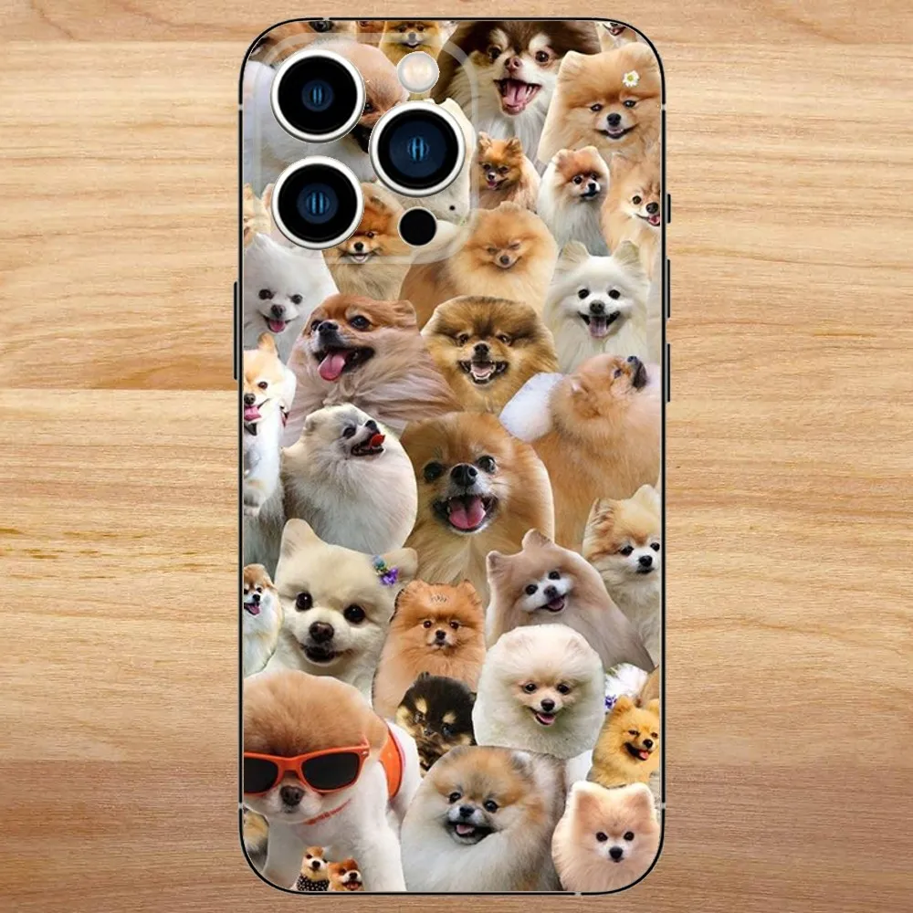 Cute Pomeranian Dogs Phone Case For iPhone15,14,13,12,11,Pro,Max,Plus,Mini,X,XS,XR,8,7,6,S,Plus,SE Soft Black Case