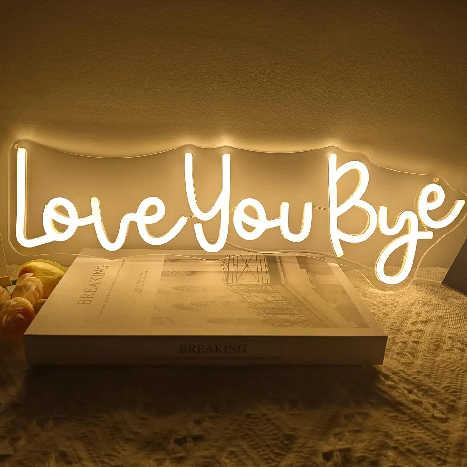 

Неоновые знаки с надписью «Love You Bye»