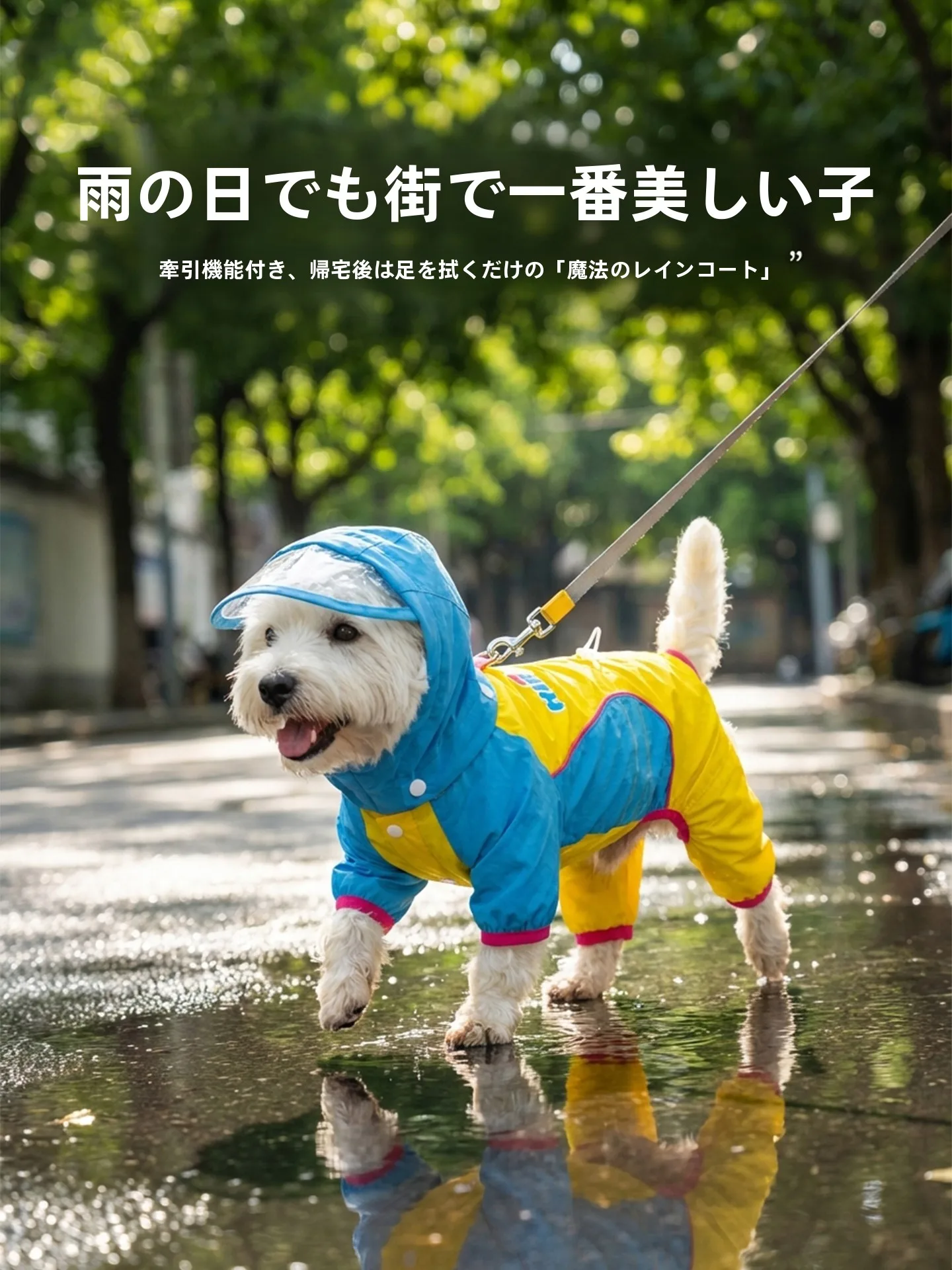 防水通気性犬用レインコート-ヒッピードッグ-ウエストハイランド-ビション-フォーフィートレインコート-春夏-軽量-防虫