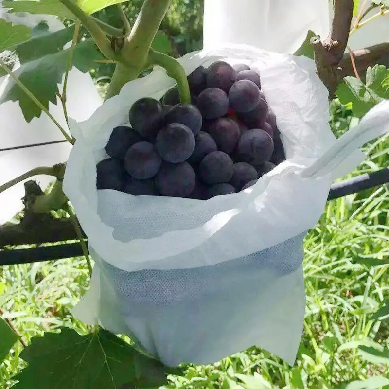 Apple Grapes Strawberry Fruit Grow Bags Non-woven Plant Protection Bags for Pest Control Anti-Bird Gardening Tools gallery 3