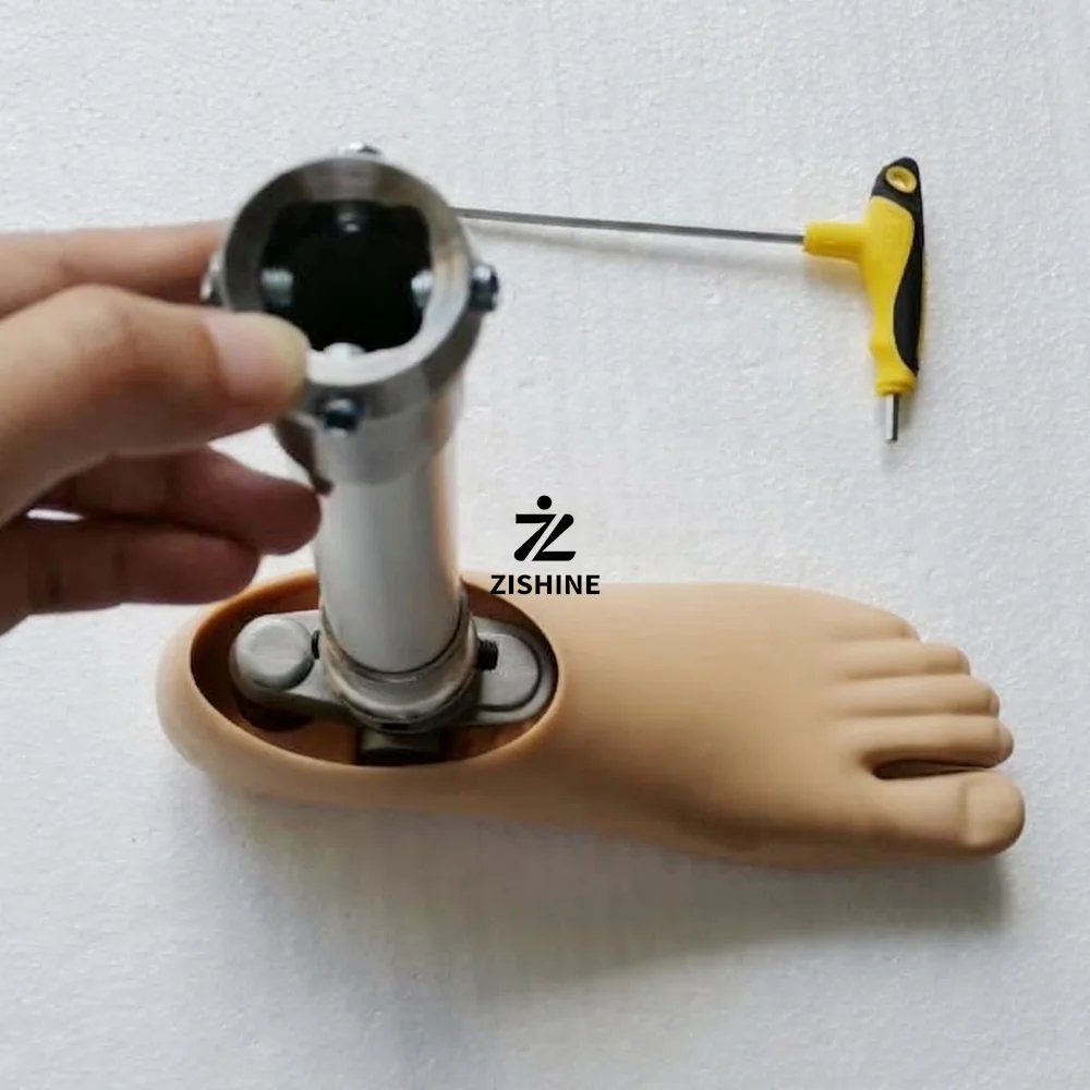 

Prosthetic Leg Foot Set Single Hole Dynamic Ankle Stainless Steel Pylon Tube - Artificial Limb Parts for Below Knee Amputee
