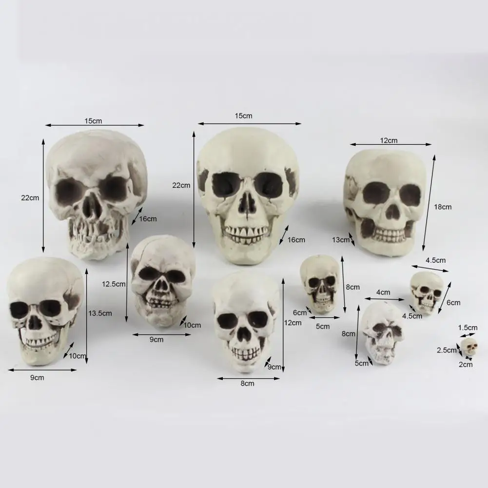 Fashion Simulation Eco-friendly Realistic Skull Head Collectible Skeleton Decoration Figurine Skull Sculpture Delicate