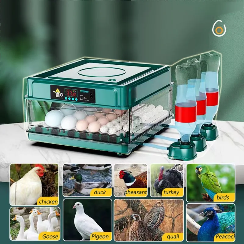 

10/15/24/30 Eggs Incubator Fully Automatic Temperature Control Replenishment Thermoregulator Poultry Hatching Tools Machine