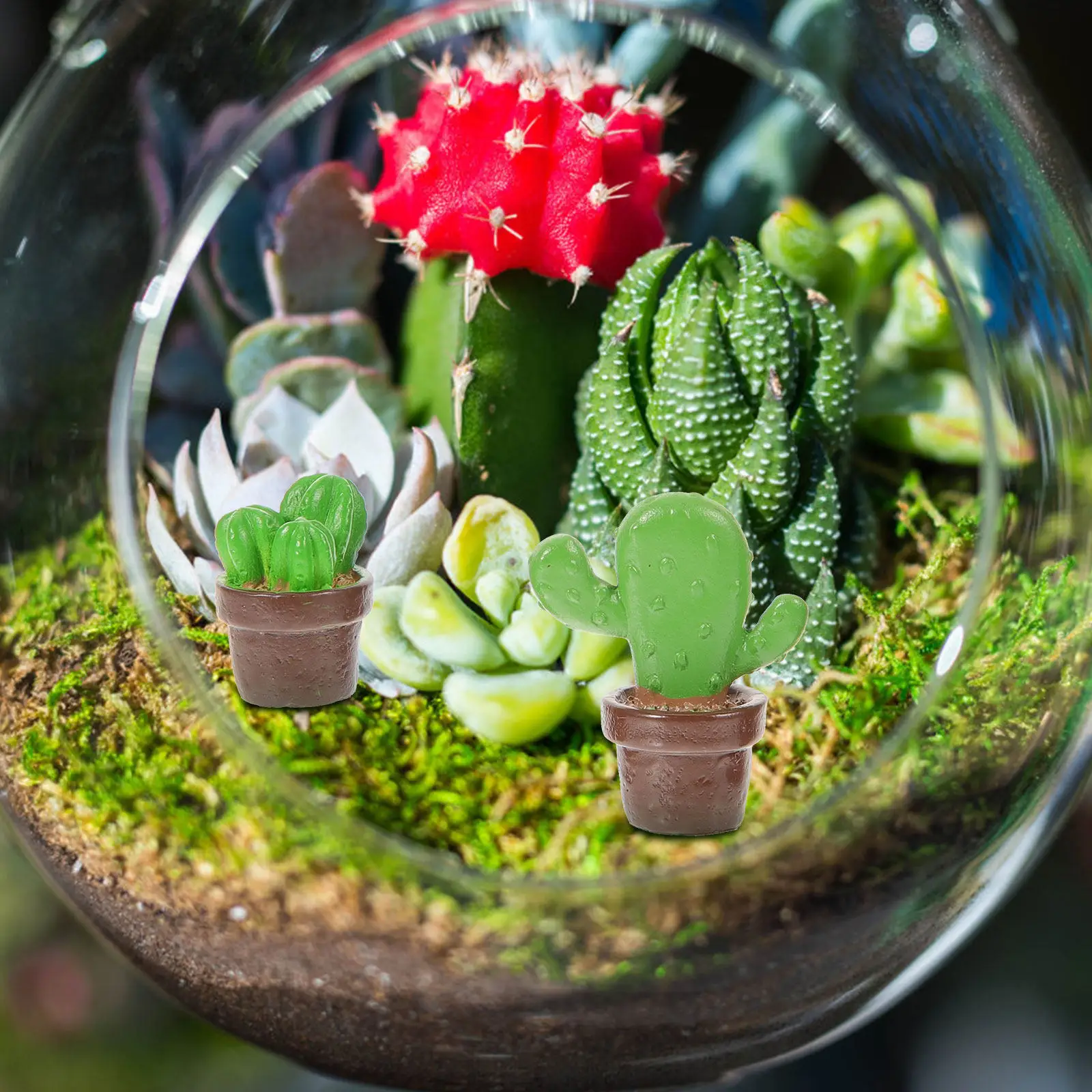 

6Pcs Cactus Decoration Lovely Resin Cactus Ornaments Garden Patio Lawn Outdoor Bonsai Statues Miniatures Micro Landscape Craft