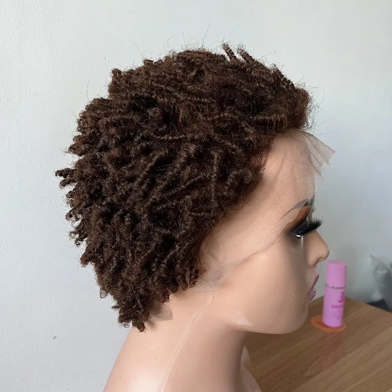 Premium Afro Kinky Curly Human Hair 13x4 Lace Frontal Ear To Ear Glueless Wigs for Women #4 6'' 180% Density Remy Hair Wigs - view 4