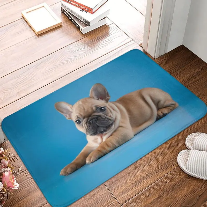 Cute Pet French Bulldog Door Floor Bathroom Kitchen Mat Indoor Frenchie Dog Lover Doormat Living Room Entrance Rug Carpet