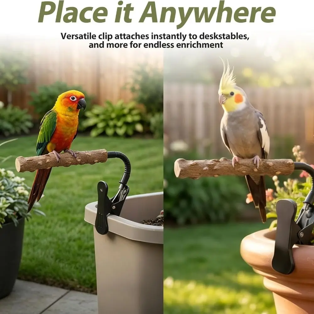 Portable Natural Wood Bird Perch Stand Clip-On Adjustable Parrot Stand Sturdy Training Bird Stand Lovebirds