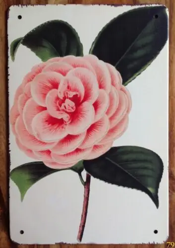Vintage Pink Rose Bunch Flowers Retro Style Metal Sign Garden Kitchen Floral She sign