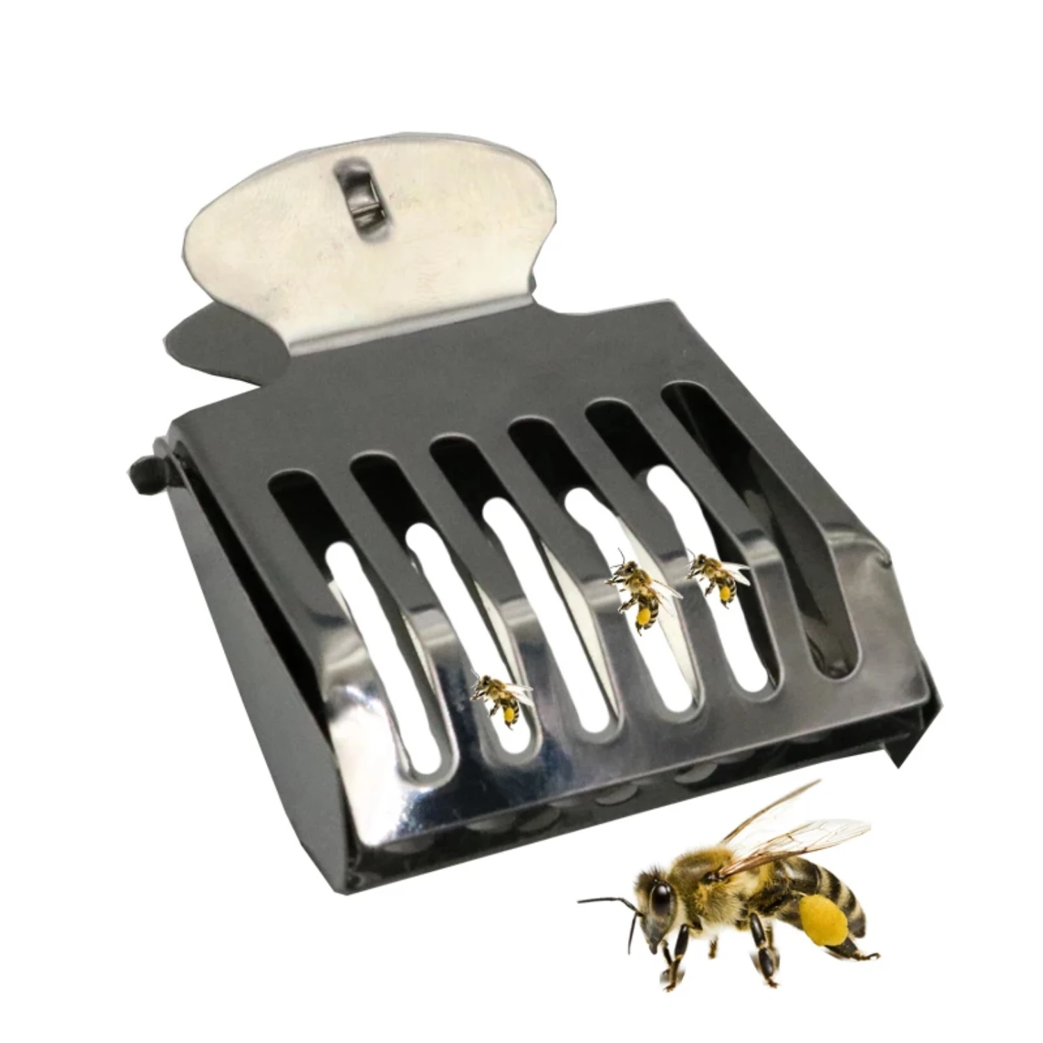 

New Stainless Steel Apiculture Tool 1 Pcs Queen Bee Catcher Clip for Beekeeping Equipment - Beekeeper Isolation Room Cage Bee Ke