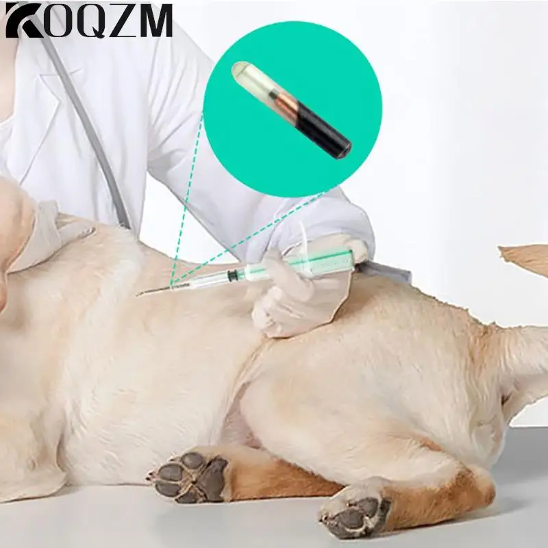1.25*7mm/1.4*8mm/2.12*12mm Pet Animal Microchip Syringe Horse Dog Microchip Pet Chip Animal Chip Syringe For Dogs Cats Fish