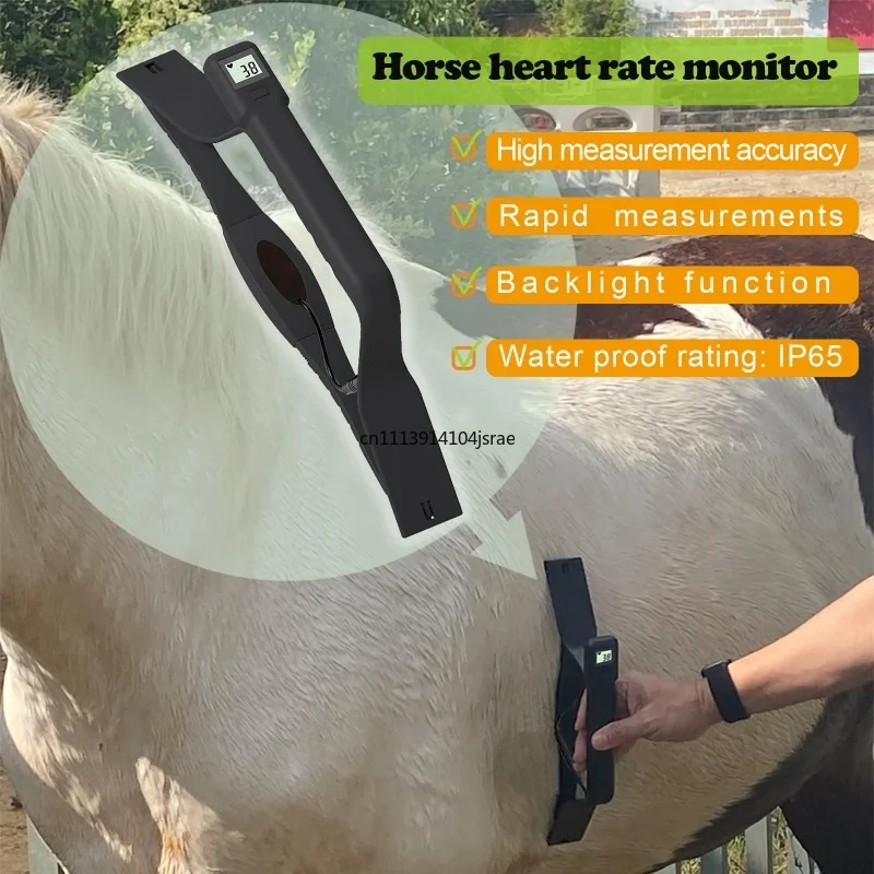 For 2595 Equine Heart Rate Sensor Monitor Waterproof High Precision Backlit LCD Quick Measurement Device