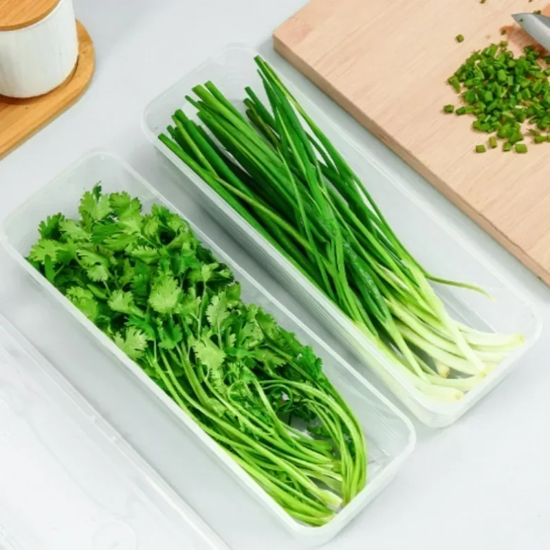 1/5PCS Food Fresh-keeping Boxes with Lid Rectangular Scallion Coriander Storage Box Transparent Kitchen Sealed Storage Container