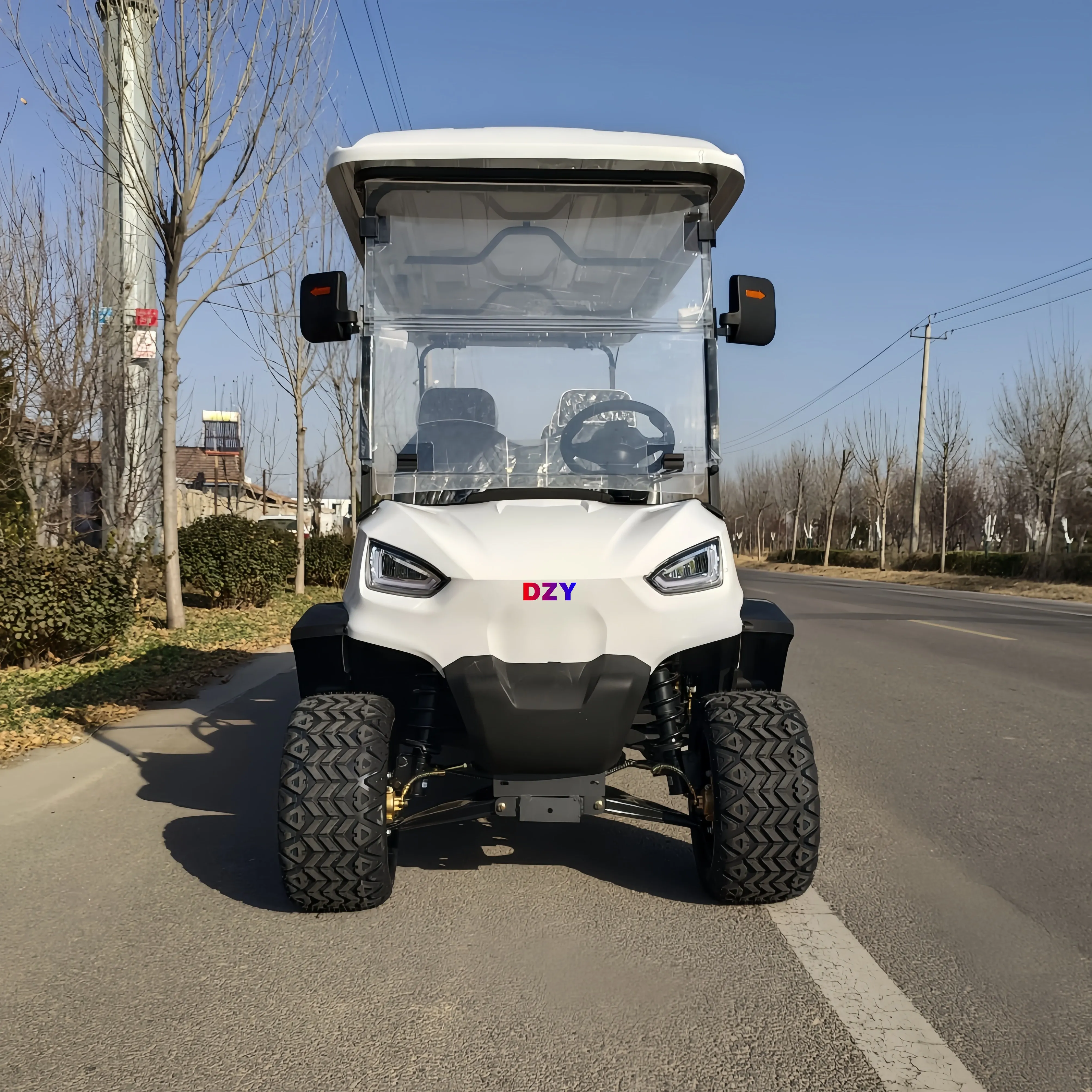 Carrito de Golf Eléctrico de 8 Plazas con Certificación EEC, Mini Vehículo Turístico de 2 Plazas, Motor de 5kw, Nuevo Carro de Club con Batería de 48V