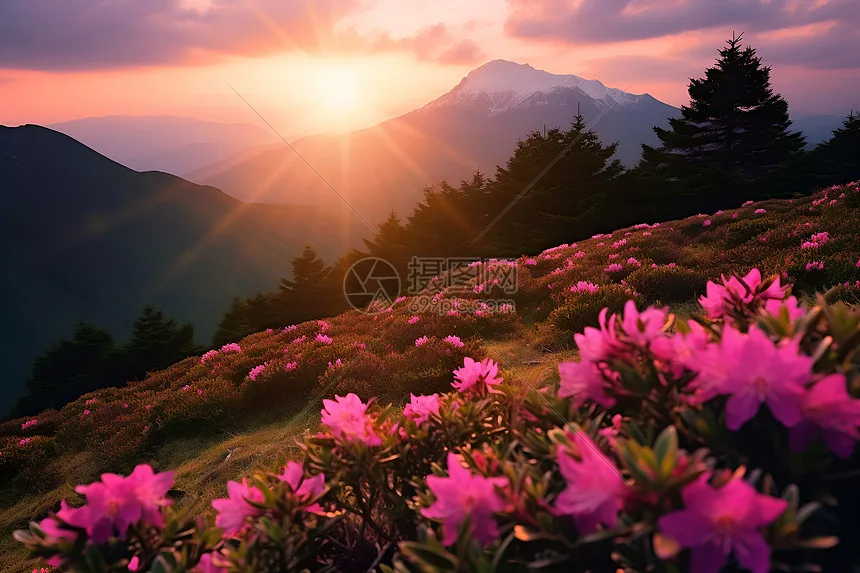 

137MM Tires Metal Beadlock Wheel Rim Rubber Tire for CROSS YK TRX4 SCX10 1/8 H8H Upgrade Parts Rc Crawler Car