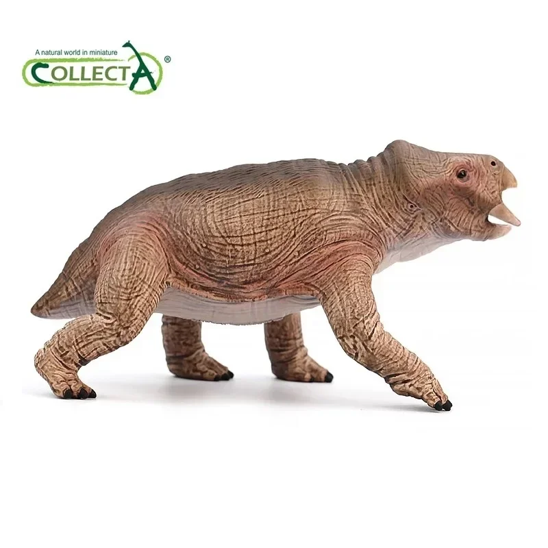 2024 CollectA Placerias Dinosaurs Figures Prehistoric Animal Model Toy Deco