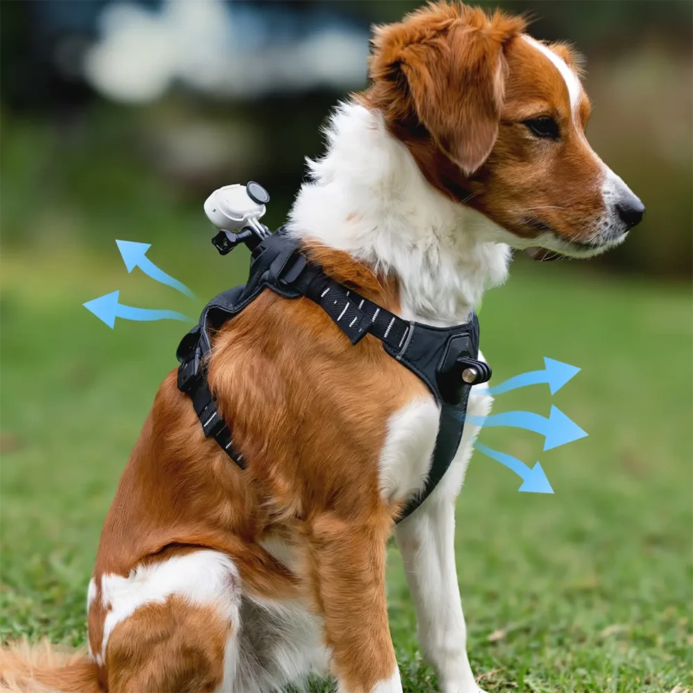 Official & Original Insta360 Pet Harness Mount - Size M