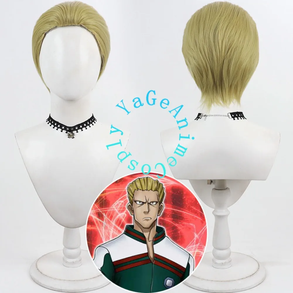 Phinks Cosplay Wig Styled Hair for Valentine Anime Festival Character Party and Stage Photography