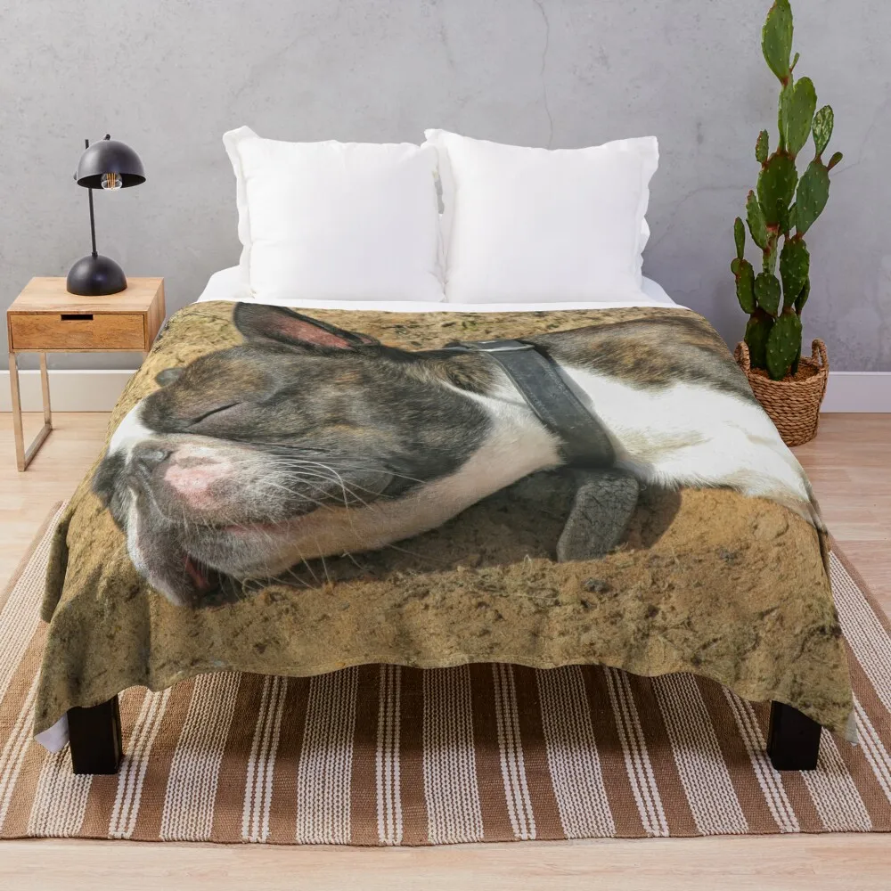 

Boston Terrier sleeping Throw Blanket Thin Blankets Warm Blanket Decorative Throw Blanket