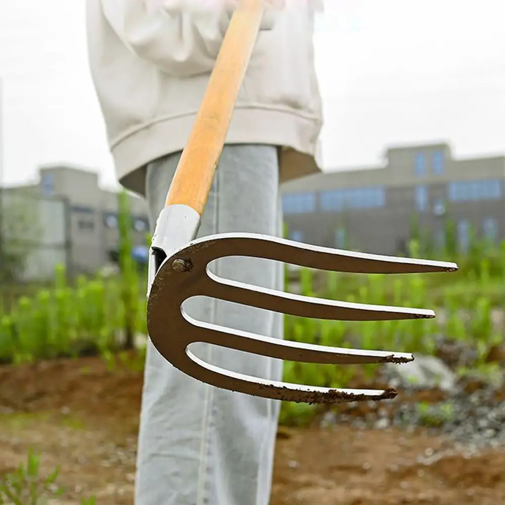 Thumbnail 3 - #36 Rakes Discount Picks