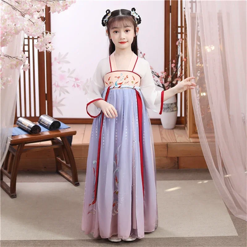 Ancient Performence Kids Birthday Party Dresses Photography Dress Girls Embroider Traditional Chinese Style HanFu Gown