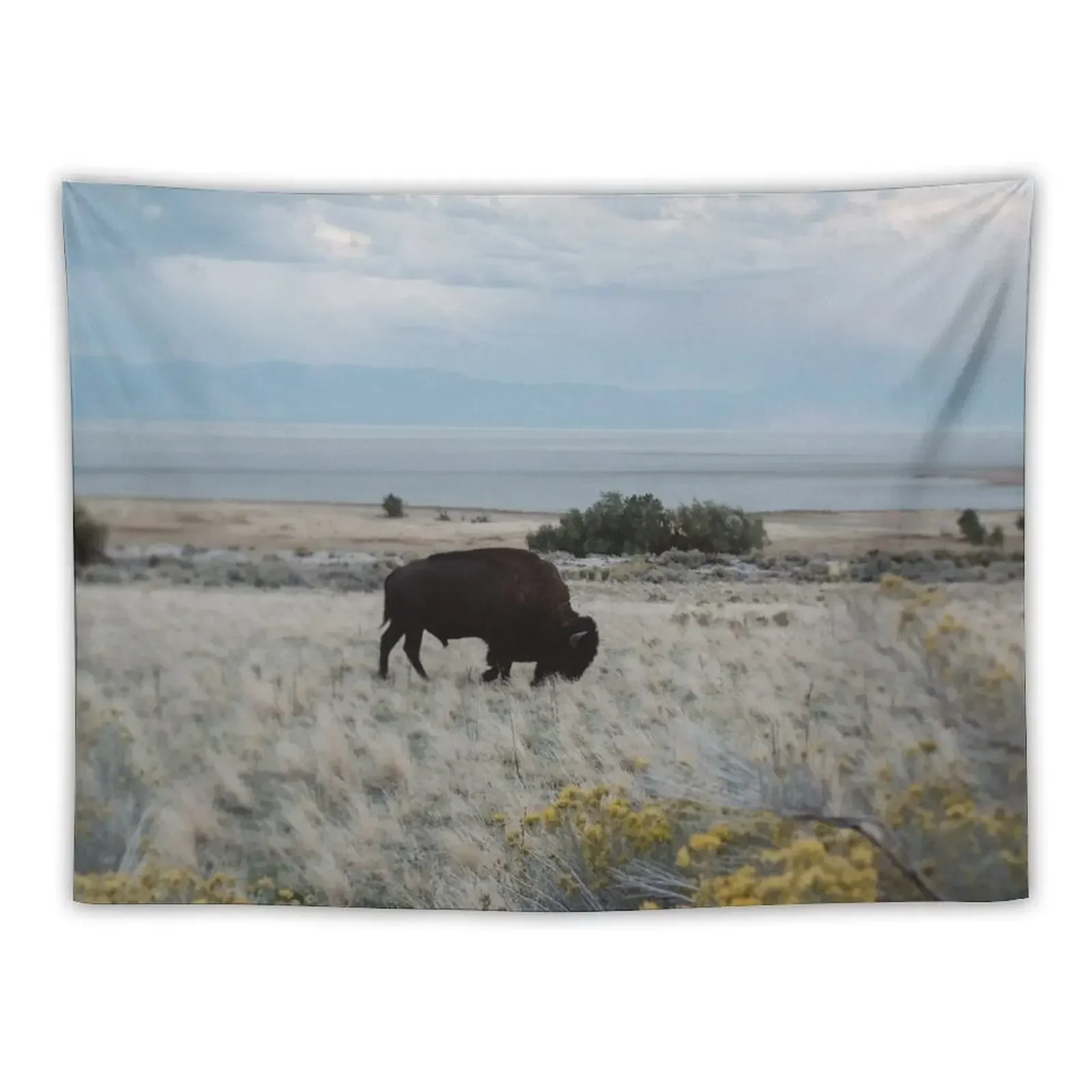 Bison in the field Tapestry Aesthetic Decoration Room Ornaments Cute Room Decor Room Decorations Aesthetic Tapestry