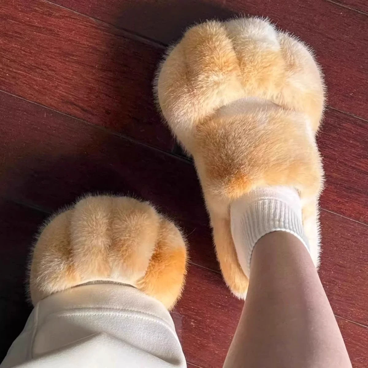 Cat Claw Bark - Nuevas Pantuflas de Oso de Peluche