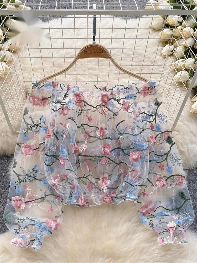 

Модная летняя блузка Y2K с вышивкой, прозрачная, с вырезом-лодочкой, свободного кроя, с пышными рукавами, короткая, в стиле уличной моды, кружевная