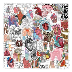 10/30/50Pcs Cartoon Human Organ Medical Anatomy Stickers Decals Toys Decorative Water Bottle Laptop Phone PVC Waterproof Sticker