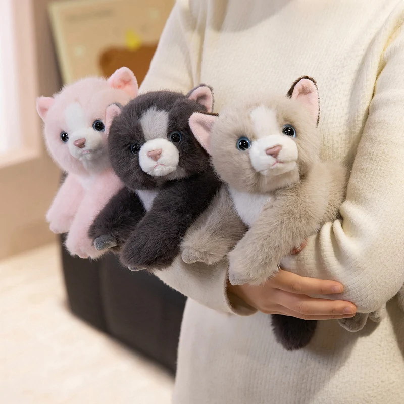 35 سنتيمتر Kawaii القط ألعاب من نسيج مخملي وسادة لينة محشوة الحيوان القط بلوشي دمية عيد ميلاد هدية الكريسماس للأطفال ديكور المنزل #6