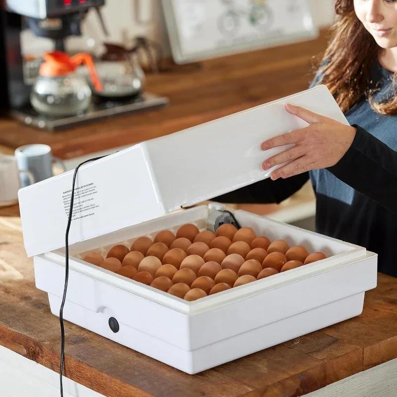 Fast shipping.Egg Turning and Humidity Control, 41 Egg Capacity Series Digital Circulated Air Egg Incubator with Automatic