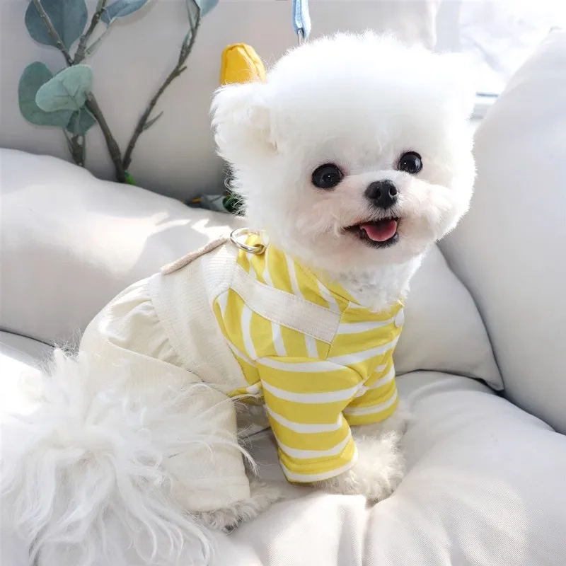 Soft Warm Dog Jumpsuit Thin Dog Clothes Luxury Striped Four-Legged Puppy Costumes Cute Bear Print Cat Pajamas Casual Pet Rompers